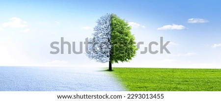 Change of season from winter to summer Royalty-Free Stock Photo #2293013455