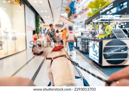 Asian man push his french bulldog in pet stroller walking in pets friendly shopping mall. Domestic dog and owner enjoy urban outdoor lifestyle travel city on summer vacation. Pet Humanization concept. Royalty-Free Stock Photo #2293013703