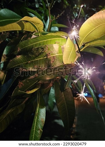 Pictures of fireworks being lit inside a fire ants nest.