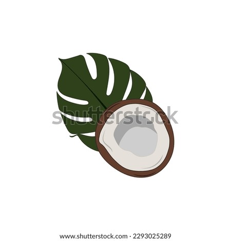 Coconut and tropical leaf. Cut in half summer fruit. Flat vector illustration.