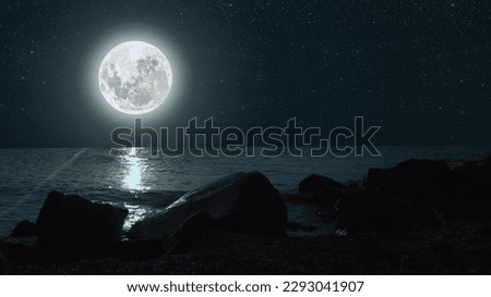 moon shines on the sea