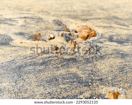 sand pattern texture background after rain