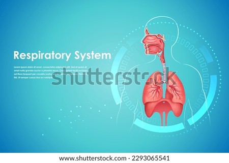 illustration of Healthcare and Medical education drawing chart of Human Respiratory System for Science Biology study Royalty-Free Stock Photo #2293065541