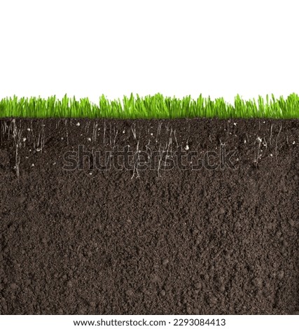 Artificial turf, asphalt, stock photo, cross section, decorative pattern, grass, grass family
