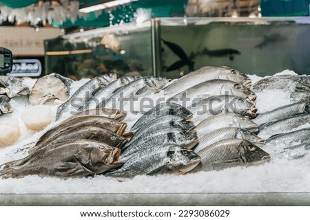 Assortment of fresh fish on ice close-up, open showcases of seafood market. Fish store, seafood market