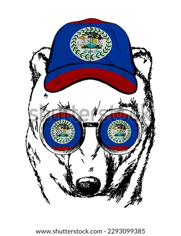 Brown bear's hand drawn portrait. Patriotic sublimation in colors of national flag on white background. Belize