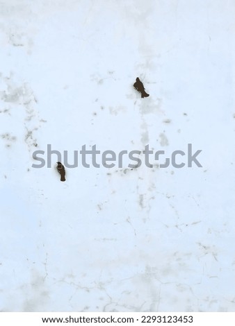 Two birds hanging on a texture white wall