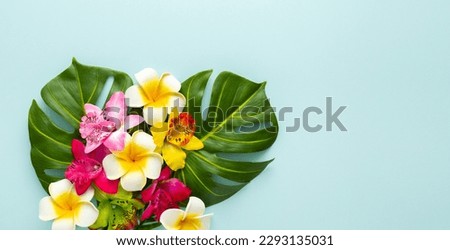 Summer background with tropical orchid flowers and green tropical palm leaves on light background. Flat lay, top view. Summer party backdrop Royalty-Free Stock Photo #2293135031