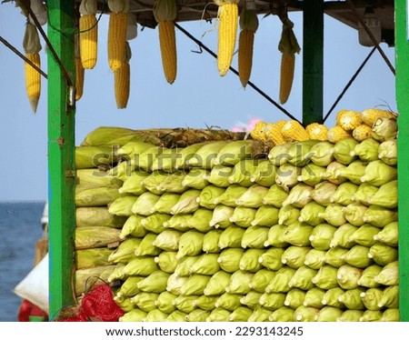 Corn maize for sale in beach market. Bunch of corn in commercial shop at seashore in Marina beach, Chennai, Tamilnadu. Royalty-Free Stock Photo #2293143245