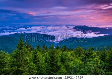 Low clouds in the valley at sunset, seen from Clingmans Dome, Great Smoky Mountains National Park, Tennessee Royalty-Free Stock Photo #2293147729