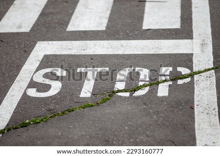 Stop sign on the asphalt road before the pedestrian crossing