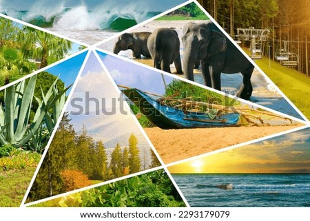 Photo collage of landscapes and animals located in mosaic. Concept - vacation and travel.