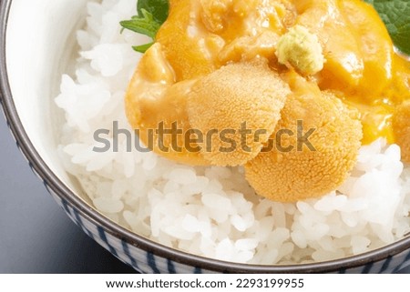Japanese delicious sea urchin meal Royalty-Free Stock Photo #2293199955