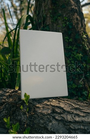 Woodland walk - green countryside scene - blank packshot with space for e reader, book or 