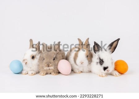 Healthy lovely baby bunny easter many color rabbits with blue,pink, orange easter eggs on white nature background. Cute fluffy rabbit and easter egg, animal symbol of easter day festival. 