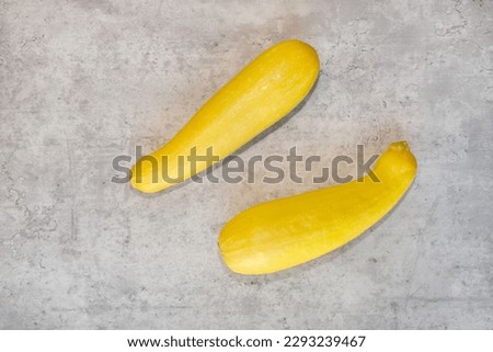 Top view of two crookneck squash (cucurbita pepo) also known as yellow squash.