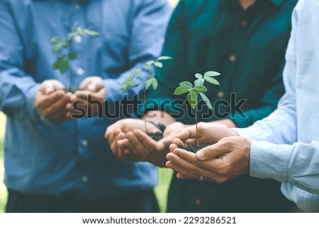Environmental cooperation. Unity of businesspeople and community together plant trees for sustainable development goals. Future environmental conservation and sustainable ESG modernization development Royalty-Free Stock Photo #2293286521