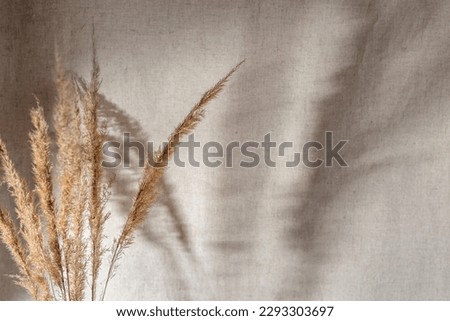 Abstract floral sunlight shadows on a neutral beige linen background, dried meadow grass stems close up, aesthetic minimalist summer pattern