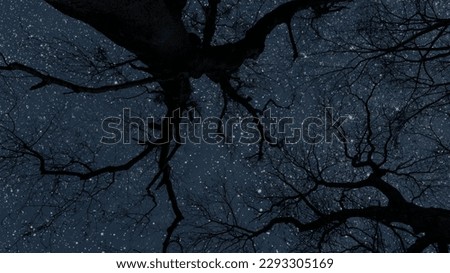 a night sky in the forest with stars and moon