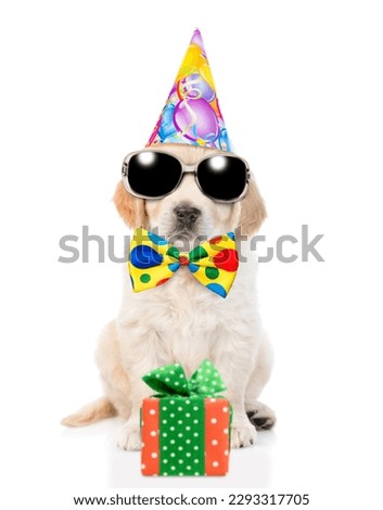 Golden retriever puppy wearing sunglasses and party cap and tie bow sits with gift box. isolated on white background