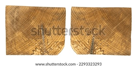 Wood grain texture. Hornbeam wood, can be used as background, pattern background