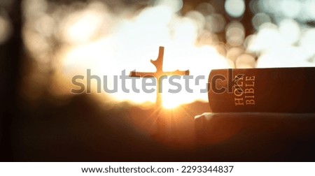 Intense light through the trees in the forest at sunset, the holy cross symbolizing the death and resurrection of Jesus Christ, and the Bible book background
