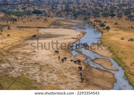 Herd of african elephants at the Tarangire river in Tarangire National Park, Tanzania. View from above Royalty-Free Stock Photo #2293354543