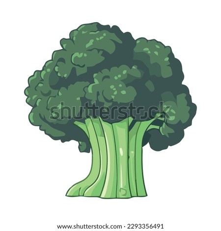 Fresh broccoli, a healthy vegetable for cooking isolated