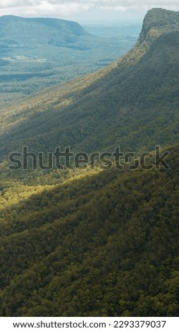 Aerial shot of a huge expanse of native forest in a hilly terrain. Preserving the planet is an urgent issue