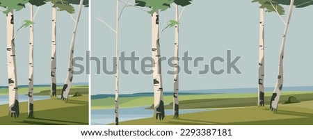 Birches on river bank. Beautiful nature landscape in different formats.