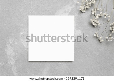 Blank square flyer card mockup, card mock up with dry gypsophila decoration, flat lay