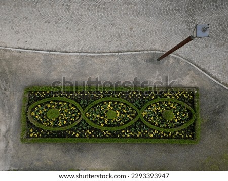 rectangular flowerbed bordered and divided by a boxwood hedge and solitaire balls in a clipped shape. the squiggle is repeated three times as a green ribbon in the ornament, landscaping, cobblestone