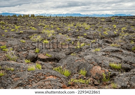 Craters of the Moon National Monument and Preserve in Idaho
