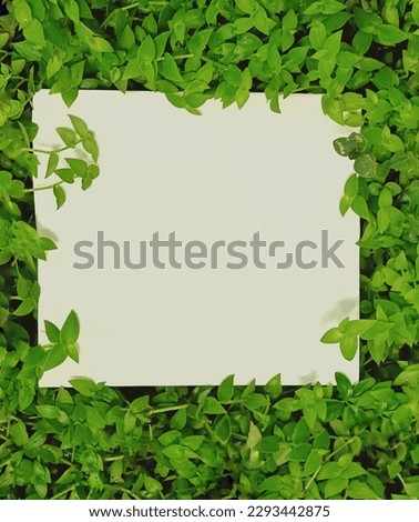 White square template podium mockup for natural organic cosmetic product presentation ad concept on green eco forest fresh leaves nature flat lay background, trendy stylish minimalist flatlay mock up