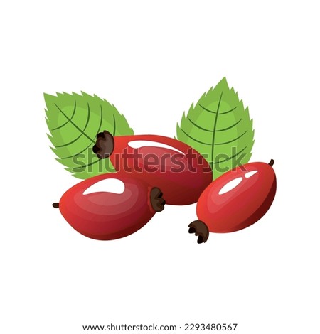 Sour rosehip berries on white background