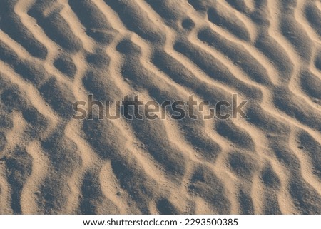 Wind formed ripple pattern in the sand at Devil's Cornfield, Mesquite Sand Dunes, Stovepipe Wells, Death Valley National Park, California Royalty-Free Stock Photo #2293500385