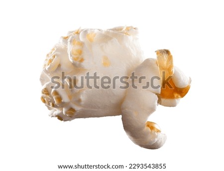 The pop to my corn. Shot of a popped piece of popcorn against a studio background.