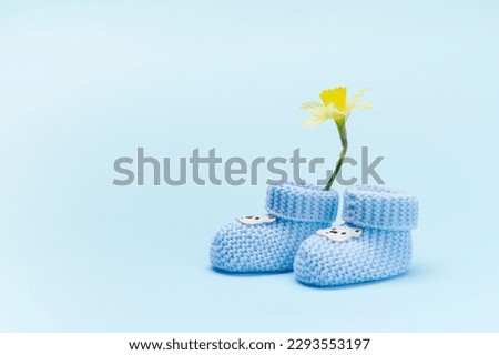 Still life with a pair of handmade blue knitted baby socks, booties and yellow daffodil flower, on isolated background. Newborn clothing and fashion. Expecting a baby. Pregnancy Copy advertising space Royalty-Free Stock Photo #2293553197