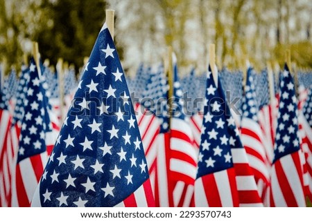Sea of American flags set up during an American holiday, either the 4th of July, Memorial Day, Veterans Day, or patriotic holiday.