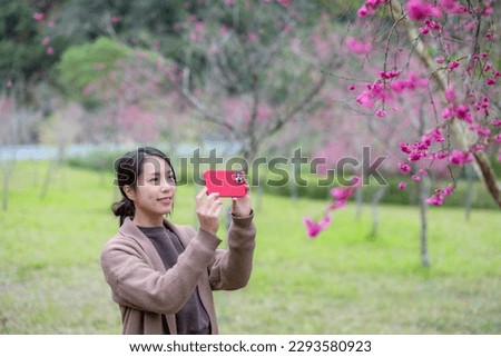 Woman take photo of the sakura tree in the park