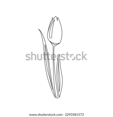 tulip line coloring object vector