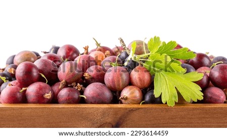 Gooseberry berries in wooden tray. Heap of red gooseberries on white. Close-up.