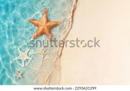 Starfish on the sand beach in clear sea water. Summer background. Summer time .Copy space. Relaxing on the beach. Royalty-Free Stock Photo #2293631299