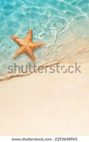 Starfish on the sand beach in clear sea water. Summer background. Summer time .Copy space. Relaxing on the beach. Royalty-Free Stock Photo #2293648965