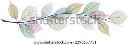 Beautiful background with leaves vein. Vector illustration. Royalty-Free Stock Photo #2293657751