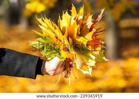 Girl holding maple leaves in autumn park