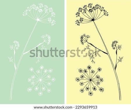 Silhouette of inflorescence and leaves of dill on a green and yellow background. Black and white botanical illustration of dill. Medicinal plant. Culinary ingredient. Royalty-Free Stock Photo #2293659913