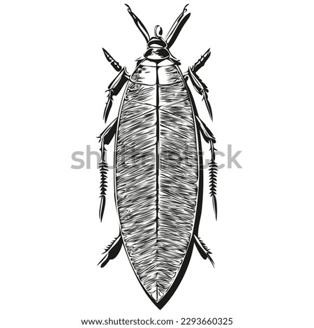 cockroach logo, black and white illustration hand drawing cockroaches
