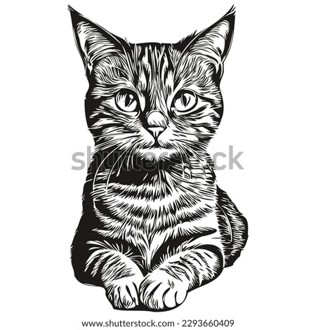 Cat logo, black and white illustration hand drawing kitten
