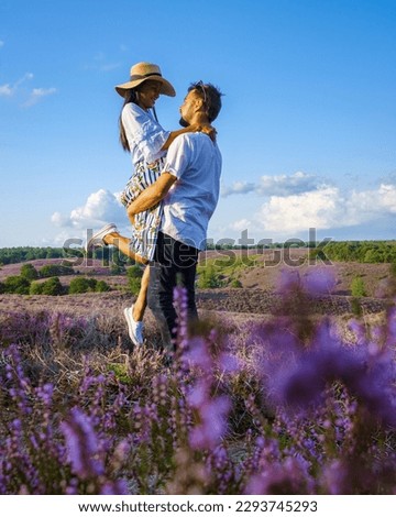 Posbank National Park Veluwe, purple pink heather in bloom, blooming heater on the Veluwe by the Hills of the Posbank Rheden, Netherlands. couple of men and women walking at the Heather fields Royalty-Free Stock Photo #2293745293